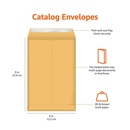 Amazon Basics Self Adhesive Catalog Mailing Envelopes, Peel and Seal, 6x9 Inch, Brown Kraft, 100-Pack