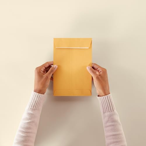 Amazon Basics Self Adhesive Catalog Mailing Envelopes, Peel and Seal, 6x9 Inch, Brown Kraft, 100-Pack