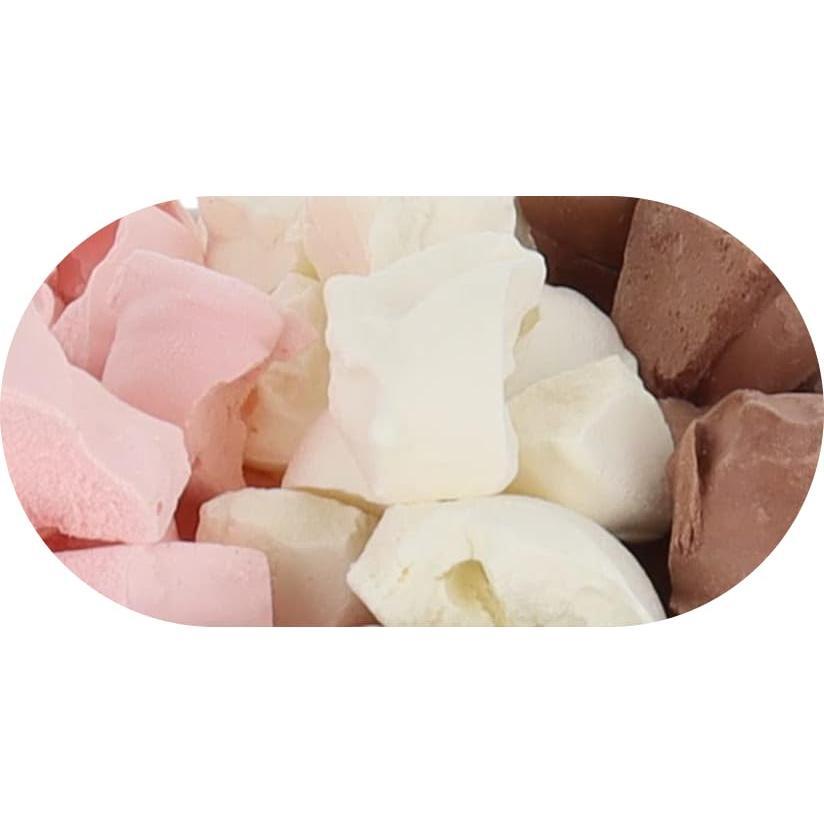 Arctic Farms Freeze Dried Ice Cream that Does Not Melt (Neapolitan, 1 Ounce)
