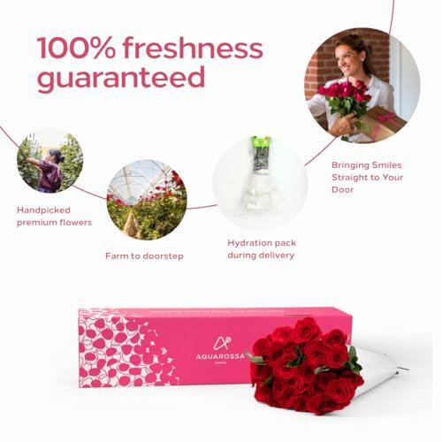 Aquarossa Farms – Flowers for Delivery, Fresh Flowers Bouquet, Handpicked from the Farm, Gift for Birthday, Anniversary, or Just Because – 24 Fresh Roses