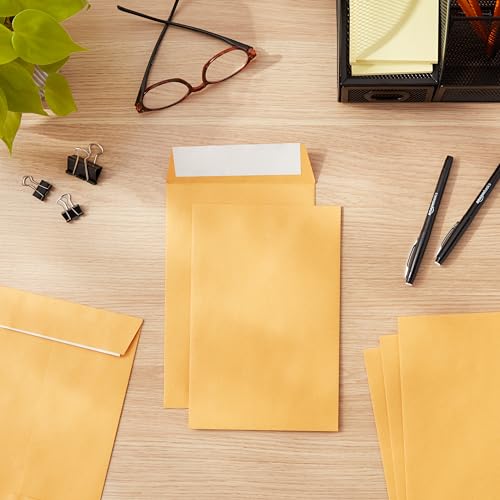 Amazon Basics Self Adhesive Catalog Mailing Envelopes, Peel and Seal, 6x9 Inch, Brown Kraft, 100-Pack
