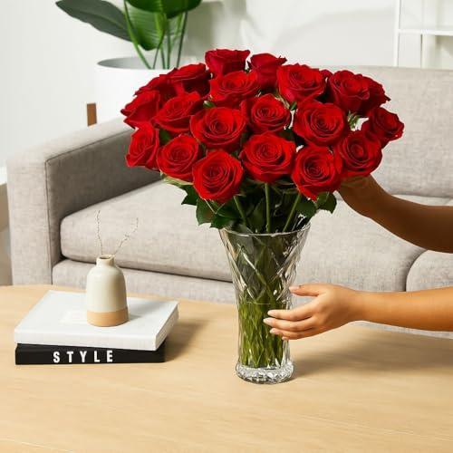 Aquarossa Farms – Flowers for Delivery, Fresh Flowers Bouquet, Handpicked from the Farm, Gift for Birthday, Anniversary, or Just Because – 24 Fresh Roses