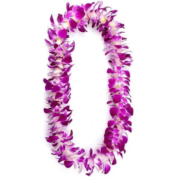 Miami Fresh Orchid Flower OrchidClub USA Sunne Tropical Loose Bloom DIY Lei, food & drink decoration (50 PURPLE)