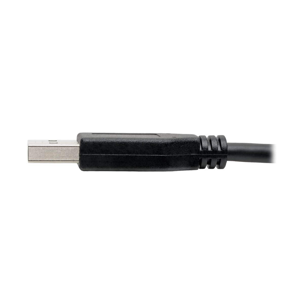 Tripp Lite USB C to USB A Cable, USB 3.1 Gen 1, Male to Male, Black, 6-ft. (U428-006)