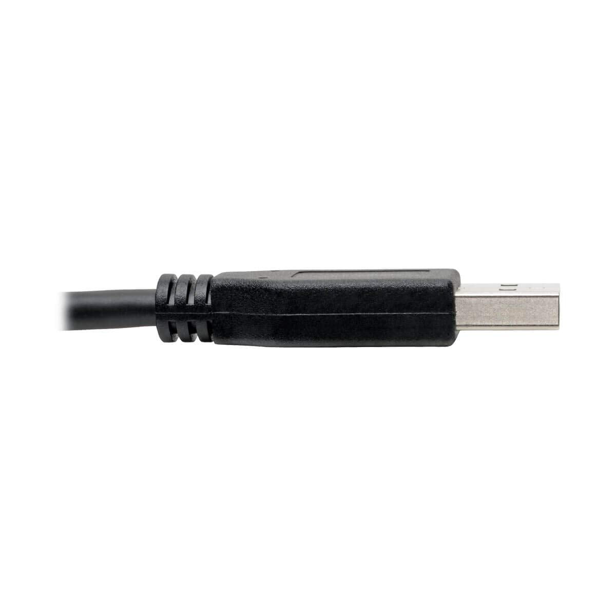 Tripp Lite USB C to USB A Cable, USB 3.1 Gen 1, Male to Male, Black, 6-ft. (U428-006)