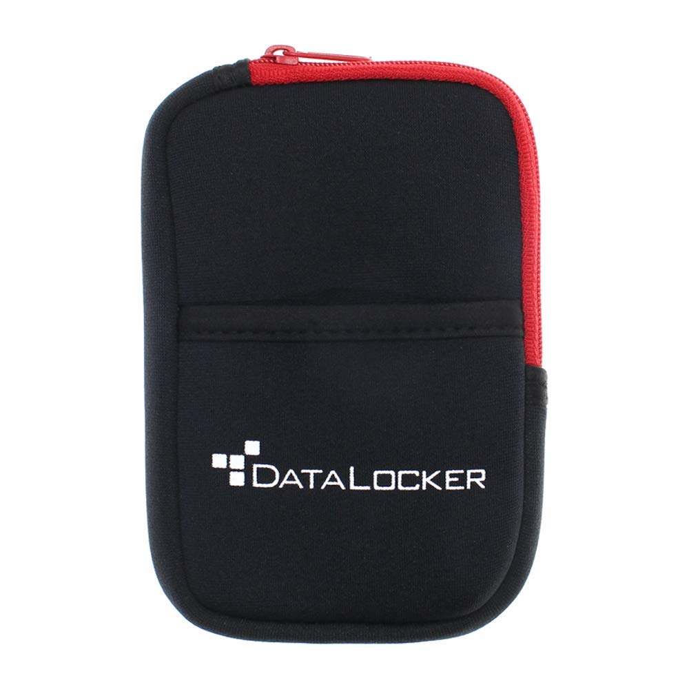 DataLocker DL4 FE 1 TB Password Protected Hardware Encrypted HDD, Easy Screen Guided Use, AES 256, IP64 Dust, TAA Compliant Trusted Supply Chain, OS Independent, USB-C/USB-A