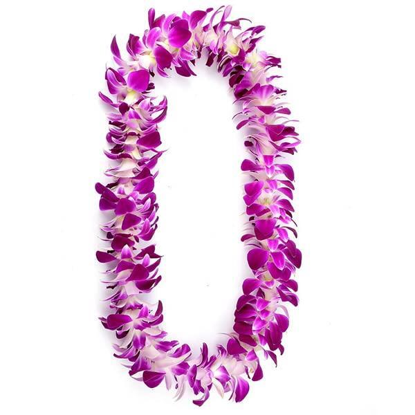 Miami Fresh Orchid Loose Bloom PERISHABLE flowers OrchidClub USA Sunne Tropical DIY lei, food & drink decoration (100 PURPLE)