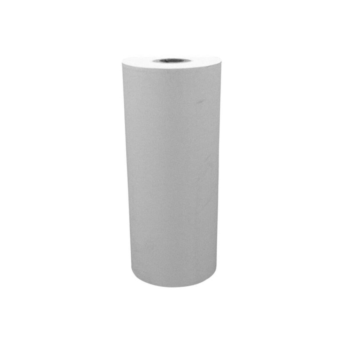 Seiko Instruments SS112-025A Paper 112MM X 25M Ss 1 Roll for DPU-414 & DPU-S445 4IN Therm