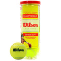 WILSON Championship Tennis Balls - Extra Duty, Single Can (3 Balls)