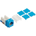 C2G Legrand Cat6 Keystone Jack 90, Blue Unshielded Cat 6 Keystone with RJ45 Keystone Jack for Keystone Insert, 1 Count, C2G 29316