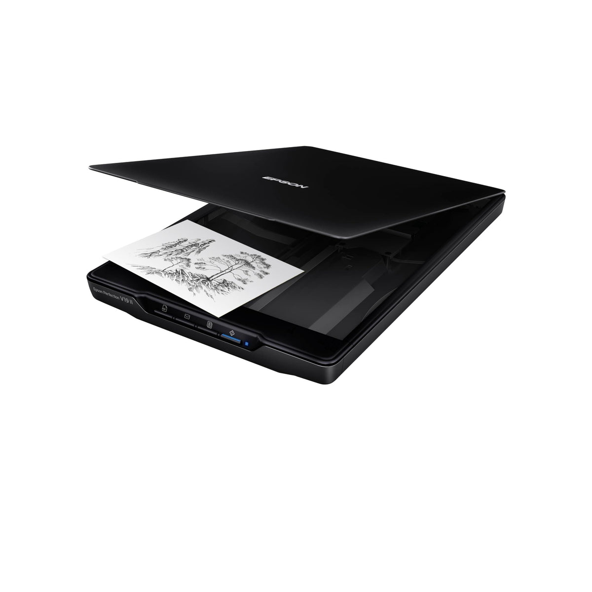 Epson Perfection V19 II Color Photo and Document Flatbed Scanner with 4800 dpi Optical Resolution, USB Power and High-Rise, Removable Lid