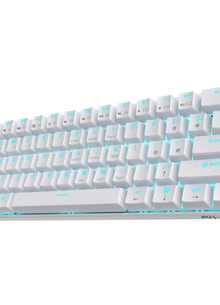 RK ROYAL KLUDGE RK61 Wireless 60% Mechanical Gaming Keyboard, Ultra-Compact 60 Keys Bluetooth Mechanical Keyboard with Programmable Software (Blue Switch, White)