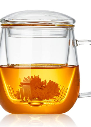 DOPUDO Glass Tea Cup with Infuser and Lid, 17.6oz/520ml Large Borosilicate Teacup,Tea Glass, Clear Mug for Loose Leaf Tea, Blooming Tea, Microwave & Dishwasher Safe   Tea Maker Gift for Birthday