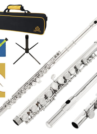 Closed Hole C Flute 16 Keys Instrument for Student Beginners with Cleaning Kit, Stand, Carrying Case, Gloves and Tuning Rod