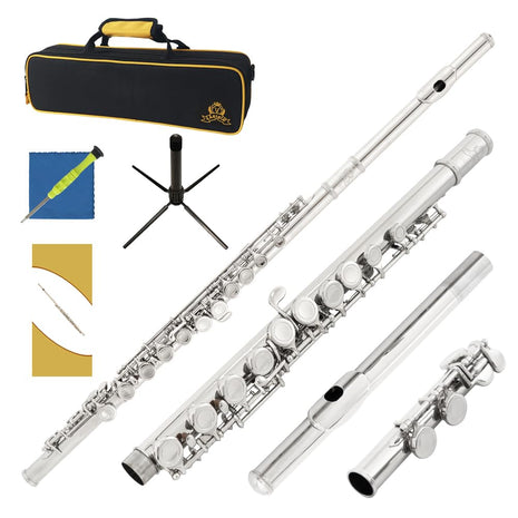 Closed Hole C Flute 16 Keys Instrument for Student Beginners with Cleaning Kit, Stand, Carrying Case, Gloves and Tuning Rod