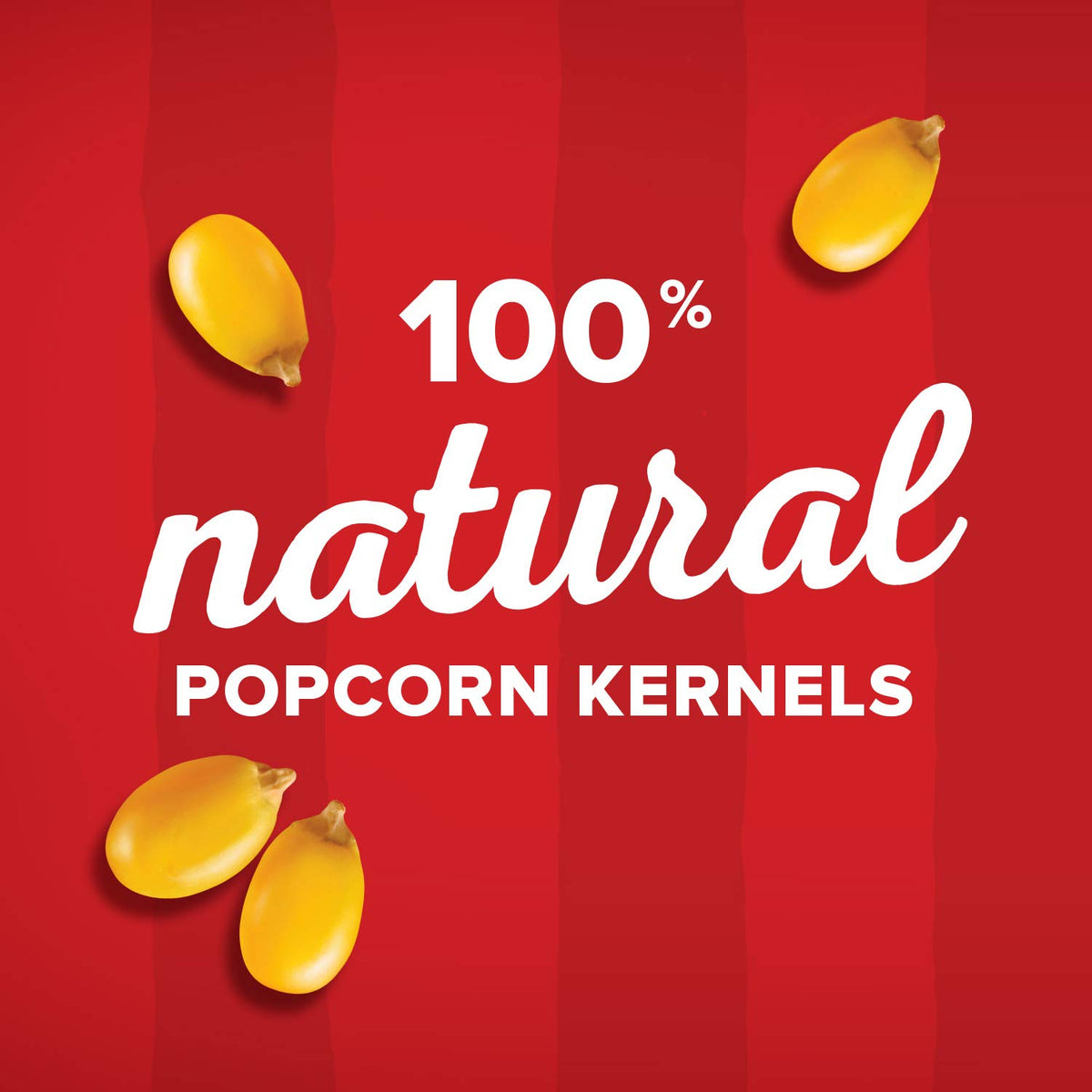 Orville Redenbacher's Gourmet Popcorn Kernels, Original Yellow, 8 lb.