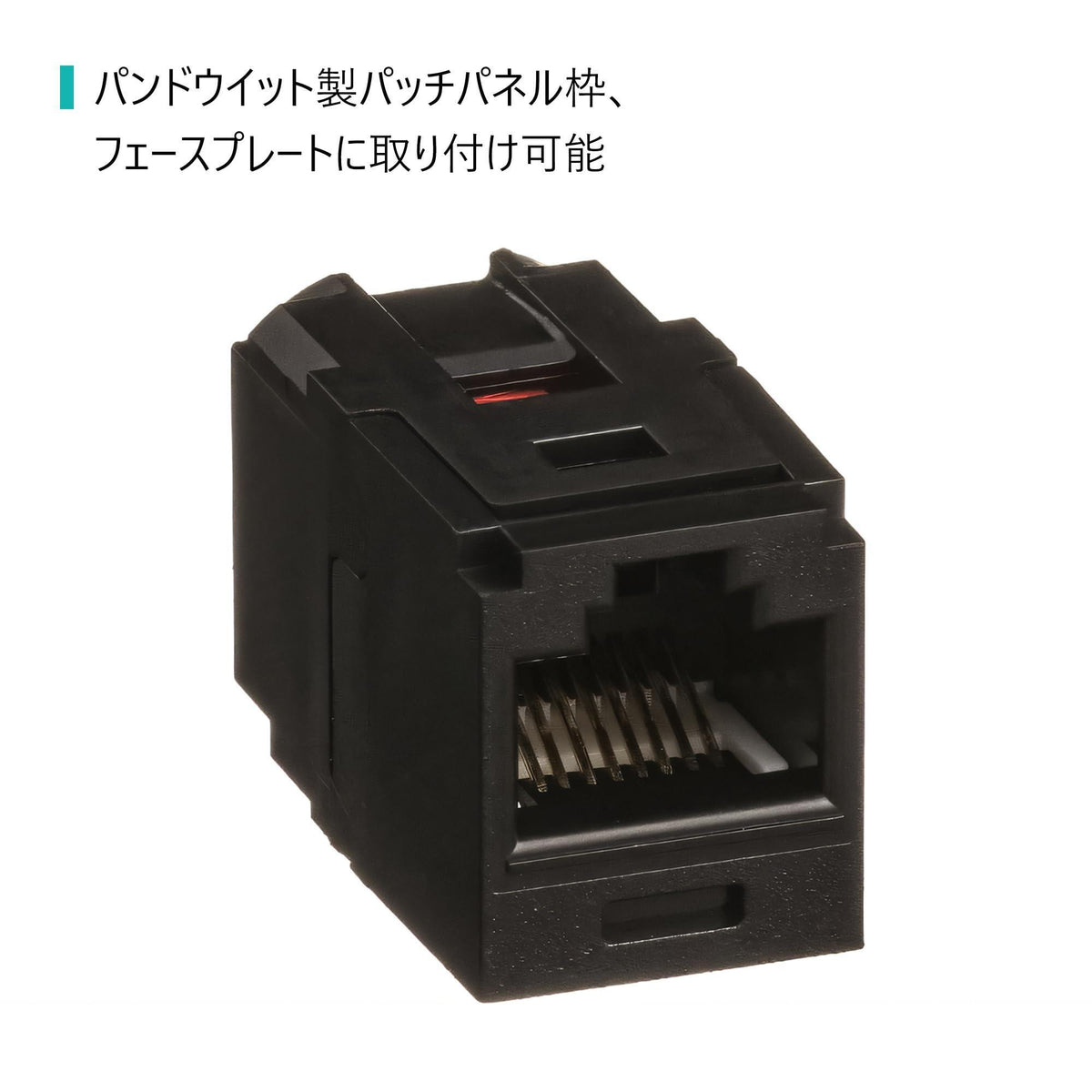 Panduit Mini-Com Cat6 Coupler Module, Black RJ45 8P8C CC688BL