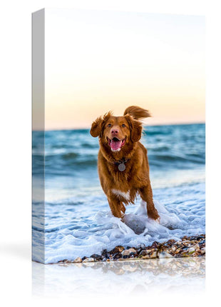 NWT Custom Canvas Prints with Your Photos for Pet/Animal, Personalized Canvas Pictures for Wall to Print Framed 24x16 inches
