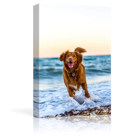 NWT Custom Canvas Prints with Your Photos for Pet/Animal, Personalized Canvas Pictures for Wall to Print Framed 24x16 inches