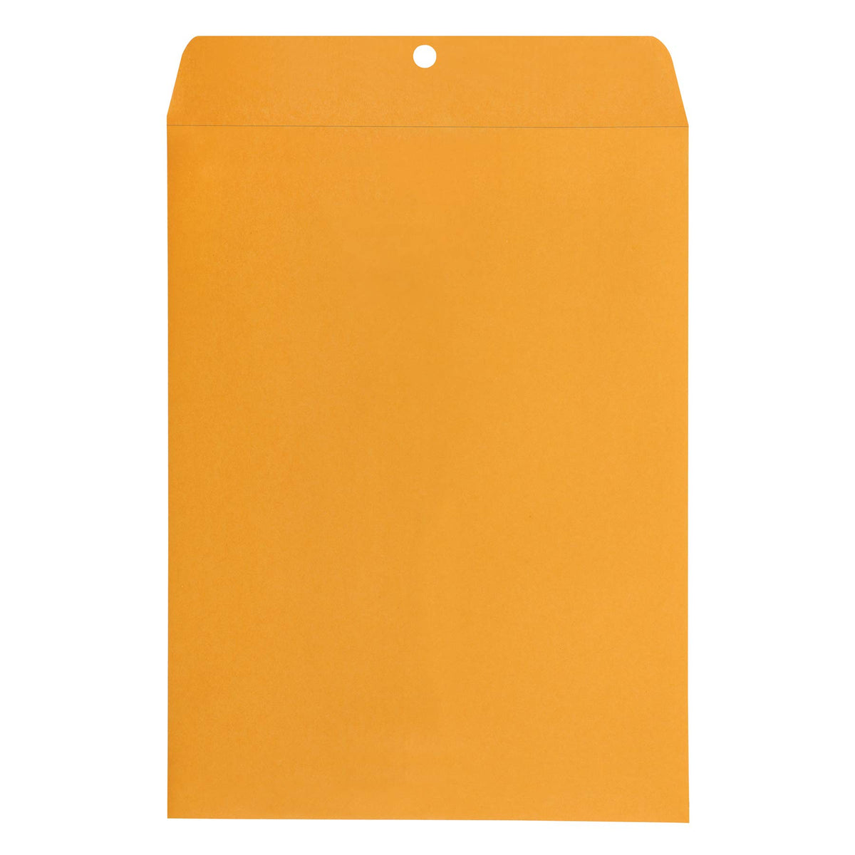 Amazon Basics Clasp Kraft Envelopes, Gummed Mailing Envelope, 9 x 12 inch, 100-Pack