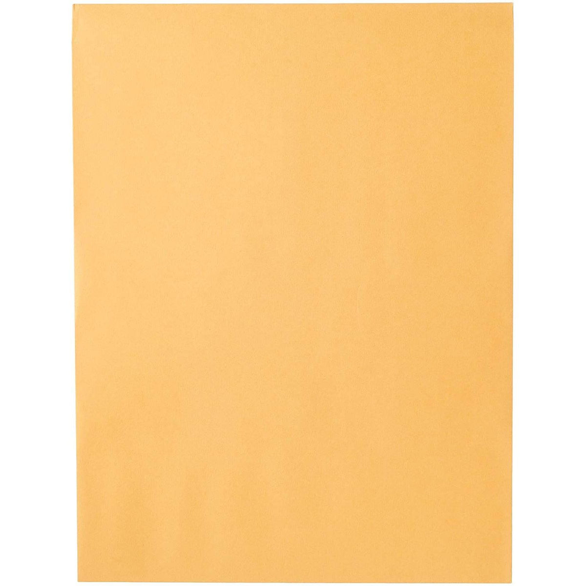 Mead Envelopes, 9" x 12", Clasp Closure, Brown Kraft All-Purpose 24-lb Paper Mailing Envelopes, 20 Count (76020)