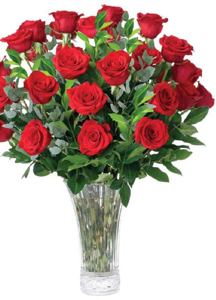 Aquarossa Farms – Flowers for Delivery, Fresh Flowers Bouquet, Handpicked from the Farm, Gift for Birthday, Anniversary, or Just Because – 24 Fresh Roses