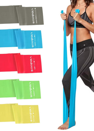 5 Pcs Professional Resistance Bands. Latex-Free, Pilates Band, Work Out Bands, Stretch Bands for Working Out Women or Men, Exercise Bands Set for Pilates, Physical Therapy, Yoga