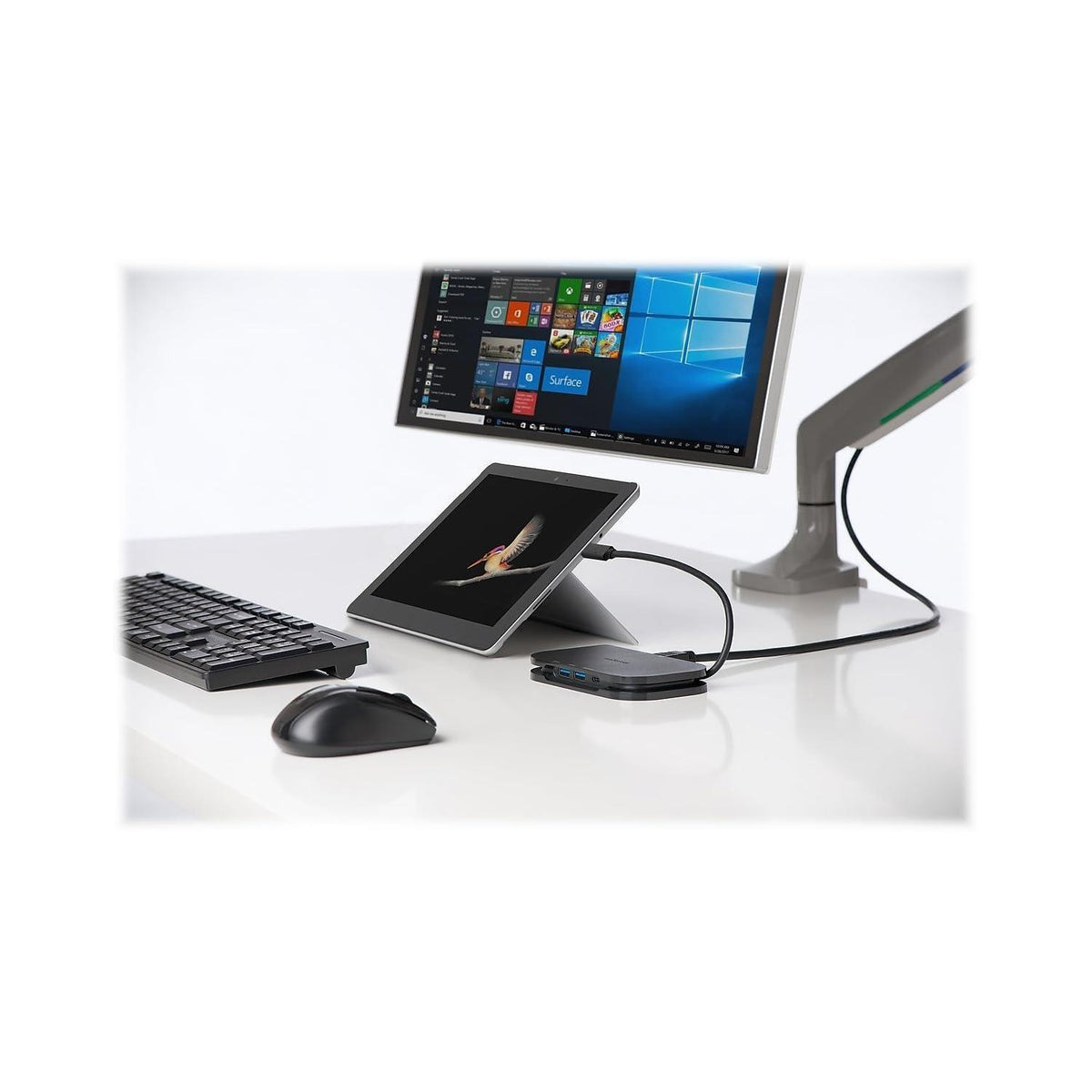Kensington SD1610P Surface Dock for Microsoft Surface Pro 11, 10, 9, 8, 7 & 7+, Surface Pro X, Surface Go, Surface Laptop and Surface Book (K38365WW)