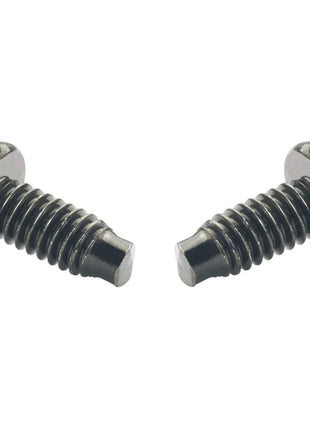 Panduit S1224-C Screw Kit for 19 inch Open Racks