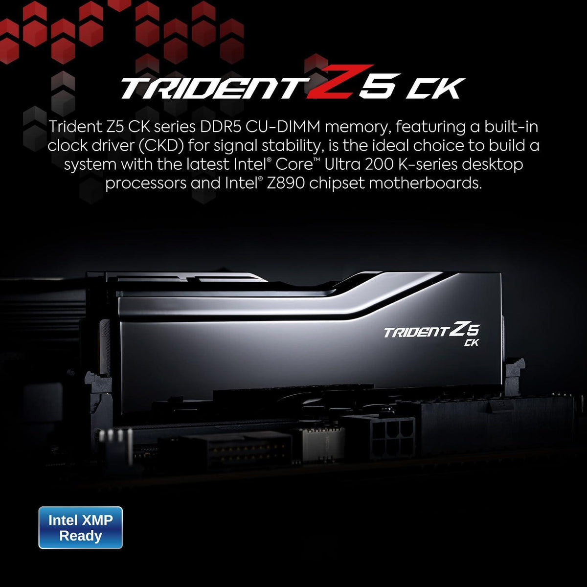G.SKILL Trident Z5 CK Series (Intel XMP 3.0) DDR5 RAM 48GB (2x24GB) 8200MT/s CL40-52-52-131 1.40V Desktop Computer Memory CUDIMM - Mirror Black