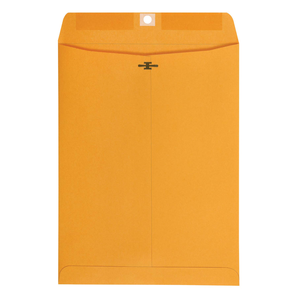Amazon Basics Clasp Kraft Envelopes, Gummed Mailing Envelope, 9 x 12 inch, 100-Pack