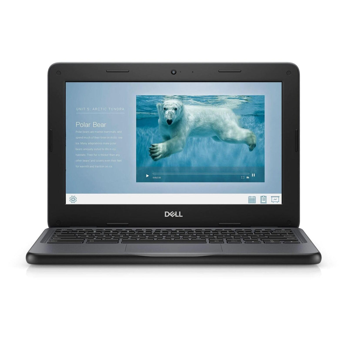 Dell Chromebook 11 3100 11.6" Chromebook - 1366 x 768 - Celeron N4020-4 GB RAM - 16 GB Flash Memory - Chrome OS - Intel HD Graphics - English (US) Keyboard - Bluetooth (Renewed)