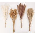 Dried Pampas Grass Decor, 100 Stems Pampas Grass Contains Bunny Tails Dried Flowers, Reed Grass Bouquet for Wedding Boho Flowers Home Table Decor, Rustic Farmhouse Party (17