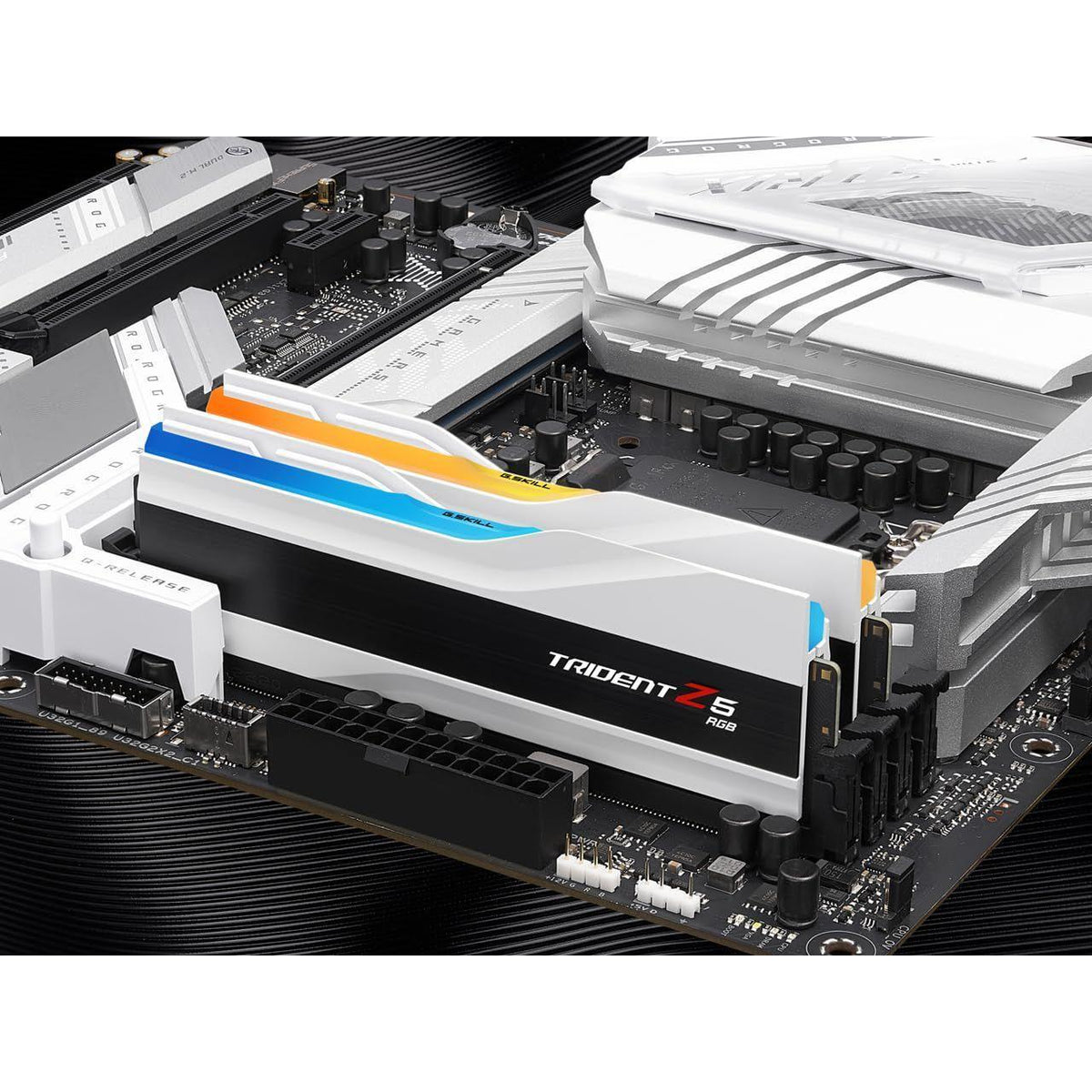 G.SKILL Trident Z5 RGB Series 32GB (2 x 16GB) 288-Pin PC RAM DDR5 6400 (PC5 51200) Desktop Memory Model F5-6400J3239G16GX2-TZ5RW