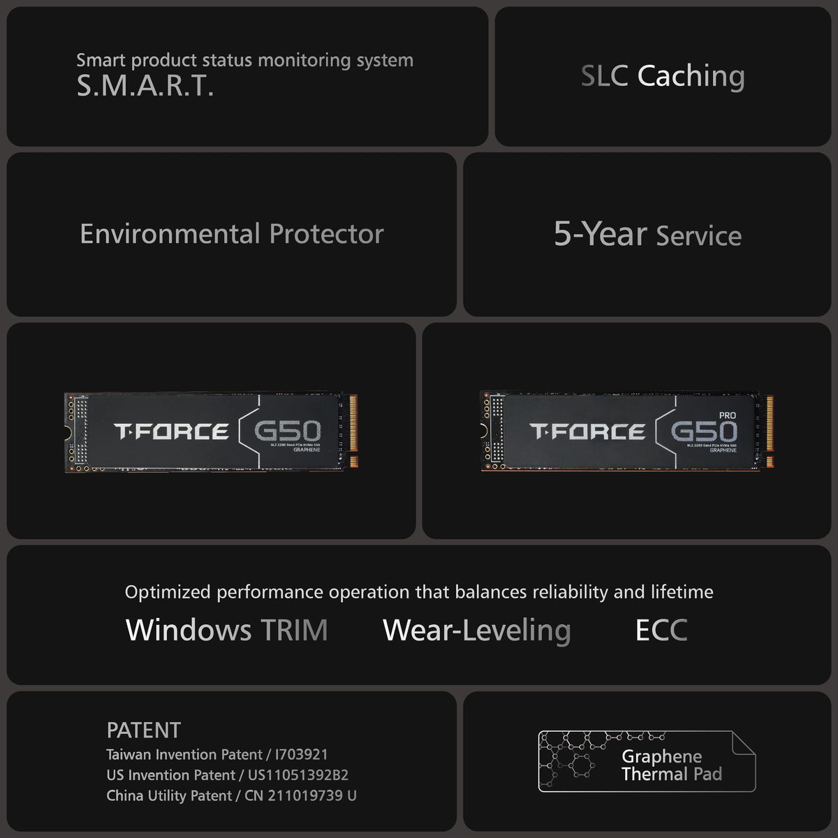 TEAMGROUP T-Force G50 2TB SLC Caching 3D TLC NAND NVMe InnoGrit PCIe Gen4x4 M.2 2280 Gaming SSD with Ultra-Thin Graphene Heat Spreader Works with PS5 Read/Write 5000/4500 MB/s TM8FFE002T0C129