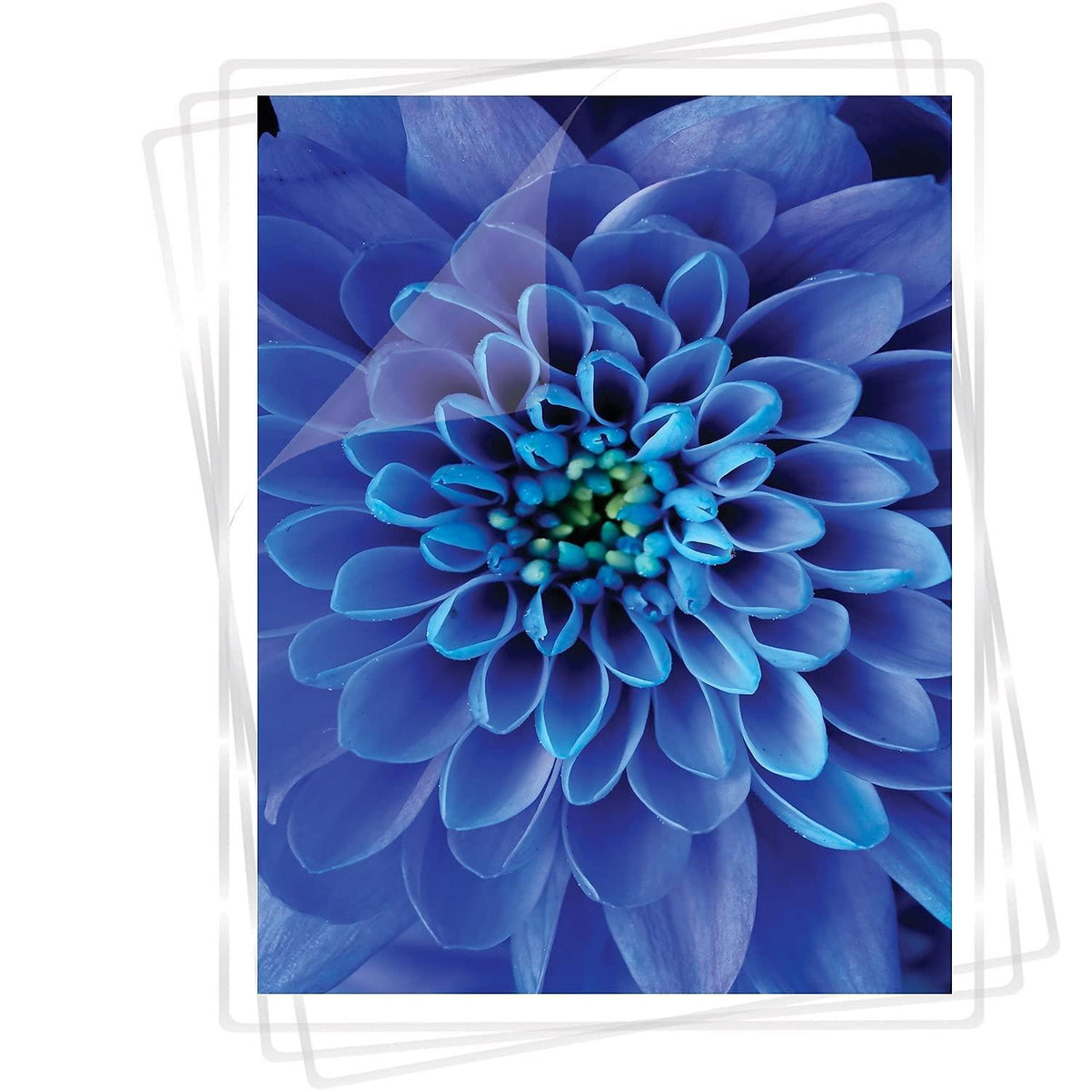 Fellowes Glossy Pouches - Letter, 7 mil, 100 pack