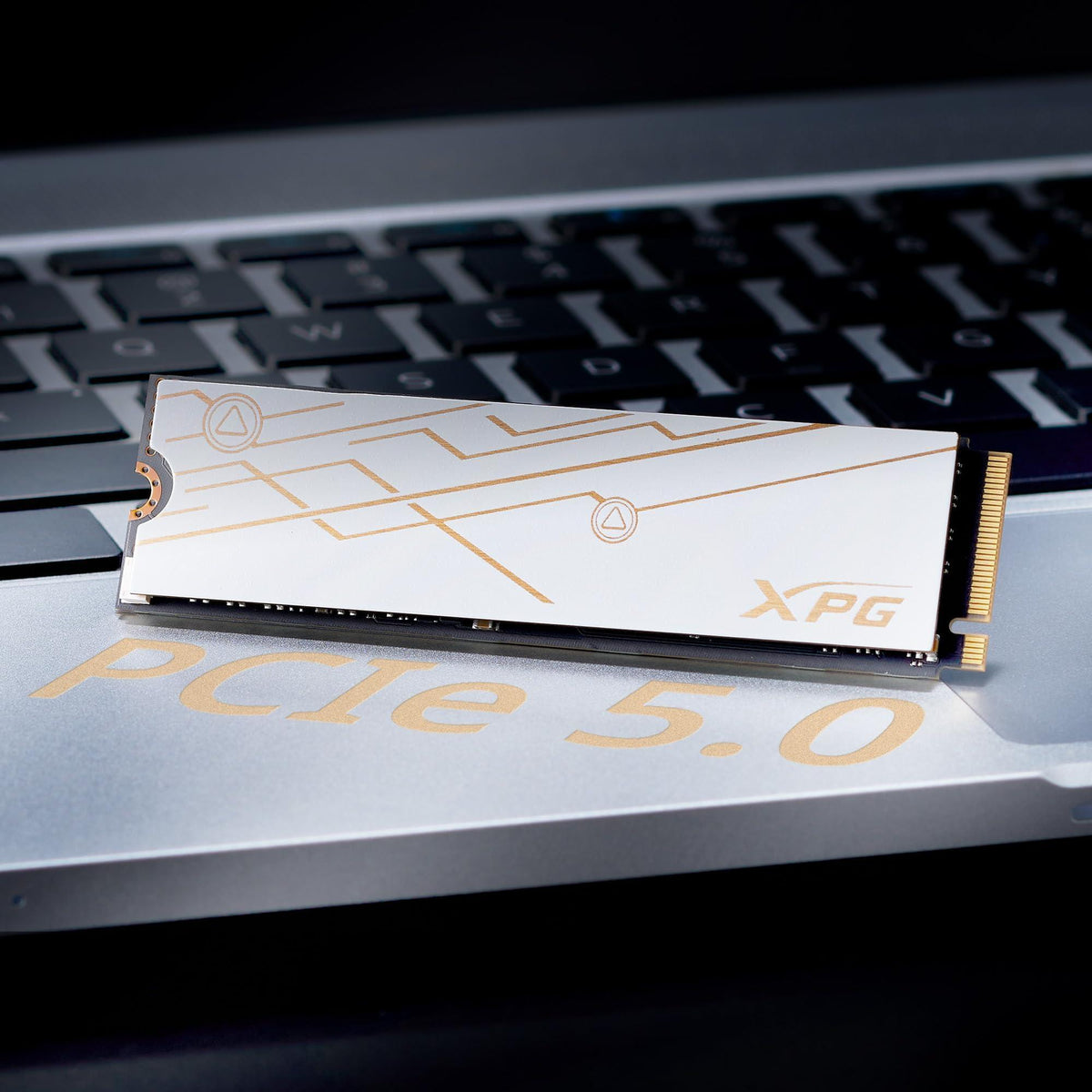 XPG 2TB Mars 980 Blade PCIe 5.0 NVMe M.2 2280 Internal Solid State Drive – Up to 14,000 MB/s Read, PCIe Gen5 x4 SSD (SMAR-980B-2TCS)