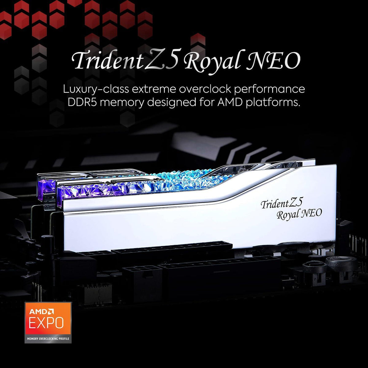 G.SKILL Trident Z5 Royal Neo Series (AMD Expo) DDR5 RAM 64GB (2X 32GB) 6000MT/s CL28-36-36-96 1.40V Desktop Computer Memory U-DIMM - Silver (F5-6000J2836G32GX2-TR5NS)