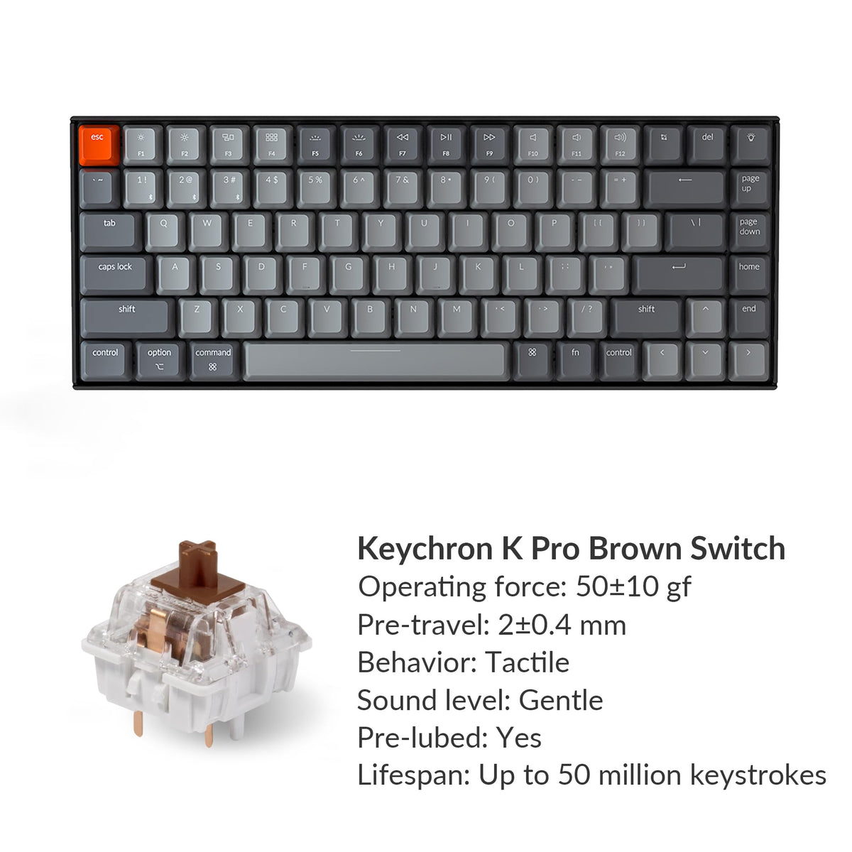 Keychron K2 75% Layout Bluetooth Wireless Mechanical Keyboard K Pro Brown Switch/White LED Backlit/USB C/Anti Ghosting/N-Key Rollover, 84 Keys Gaming Keyboard for Mac Windows-Version 2