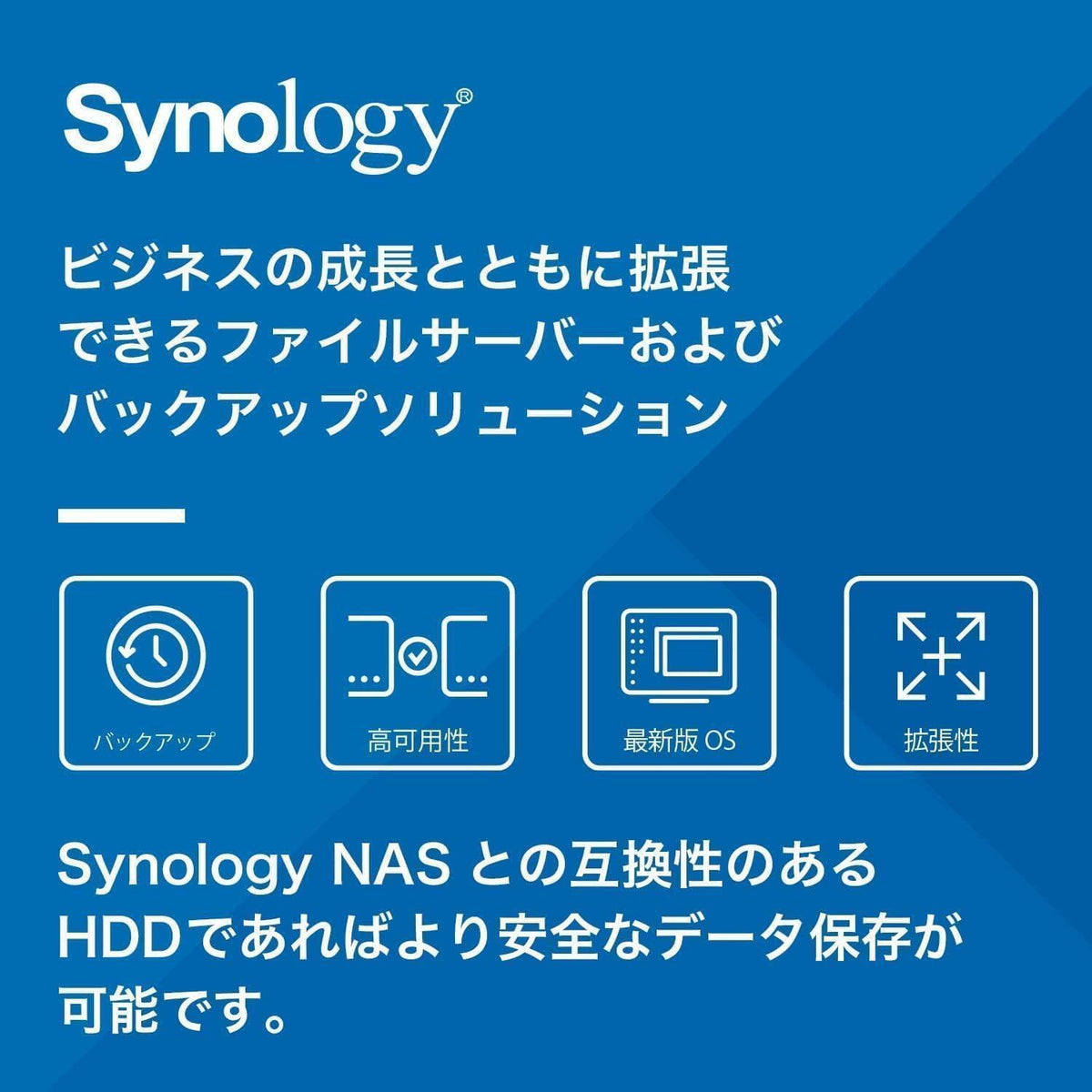 Synology HAT3310-12T [12TB 3.5" SATA 7,200 RPM/NAS Grade HDD (MTTF 1.2 Million Hours) / 3 Year Warranty] Domestic Authorized Dealer Field Lake Product