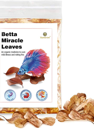 SunGrow 50 pcs Catappa Indian Almond Leaves – 2" Water Conditioner for Betta Fish Tank, Aquarium Leaf for Fish Breeding, Shrimp, Goldfish, Guppy & Frogs