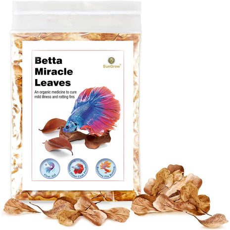 SunGrow 50 pcs Catappa Indian Almond Leaves – 2" Water Conditioner for Betta Fish Tank, Aquarium Leaf for Fish Breeding, Shrimp, Goldfish, Guppy & Frogs