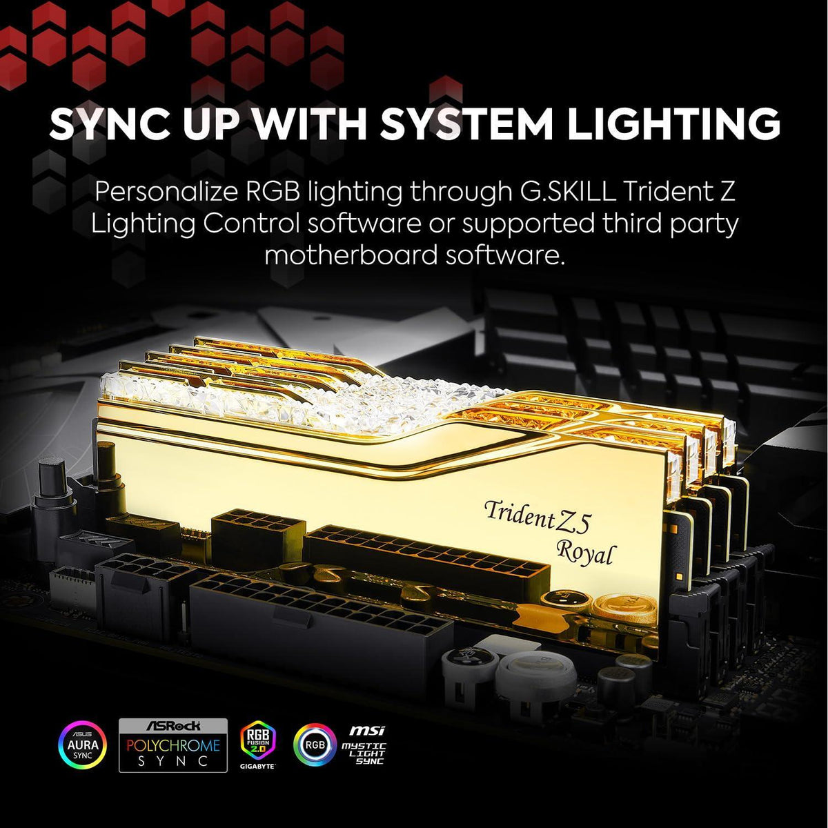 G.SKILL Trident Z5 Royal Series (Intel XMP 3.0) DDR5 RAM 48GB (2x24GB) 7200MT/s CL36-46-46-115 1.35V Desktop Computer Memory UDIMM - Gold (F5-7200J3646F24GX2-TR5G)