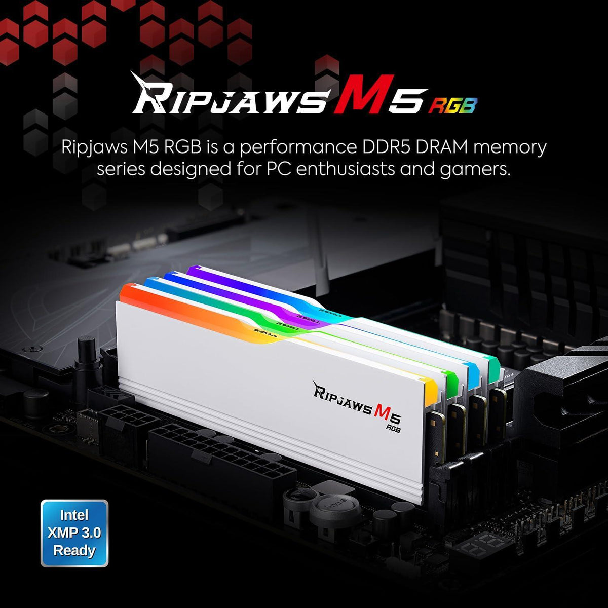 G.SKILL Ripjaws M5 RGB Series (Intel XMP 3.0) DDR5 RAM 48GB (2x24GB) 5200MT/s CL40-40-40-83 1.10V Desktop Computer Memory UDIMM - Matte Black (F5-5200J4040A24GX2-RM5RK)