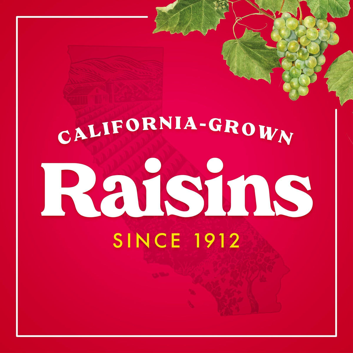 Sun-Maid California Golden Raisins - 12 oz Sharing-Size Box - Dried Fruit Snack for Lunches, Snacks, and Natural Sweeteners