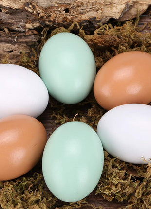 Wooden Fake Eggs-6Piece by Green FABWOOD