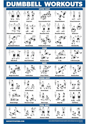 Palace Learning Dumbbell Workout Exercise Poster   Free Weight Body Building Guide | Home Gym Chart   LAMINATED, 18 inch x 24 inch