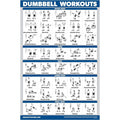 Palace Learning Dumbbell Workout Exercise Poster   Free Weight Body Building Guide | Home Gym Chart   LAMINATED, 18 inch x 24 inch