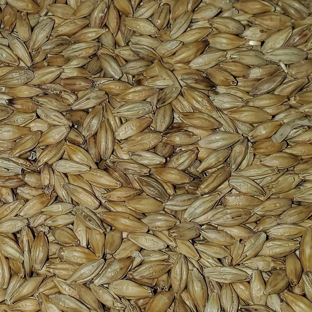 2-Row Brewers Malt for Home Brewing Whole Grain 10lbs