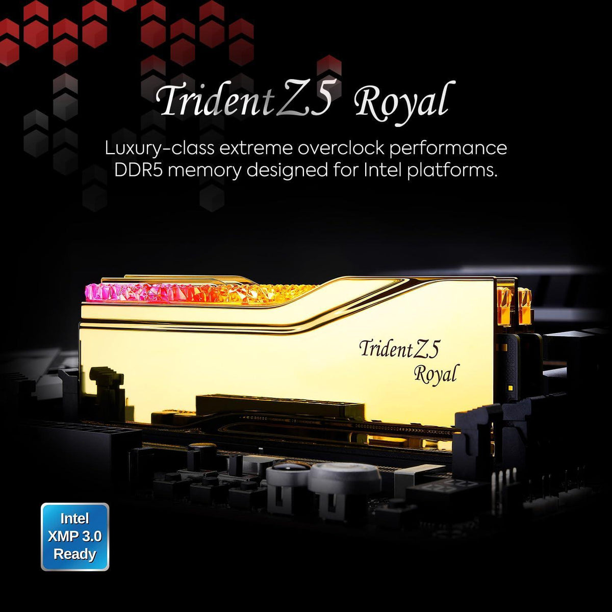 G.SKILL Trident Z5 Royal Series (Intel XMP 3.0) DDR5 RAM 32GB (2x16GB) 7200MT/s CL34-45-45-115 1.40V Desktop Computer Memory UDIMM - Gold (F5-7200J3445G16GX2-TR5G)